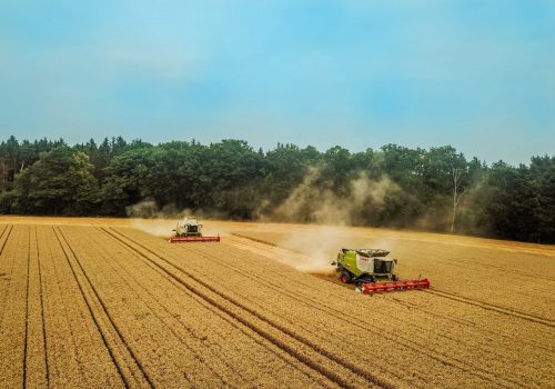 Agrargenossenschaft-Feld